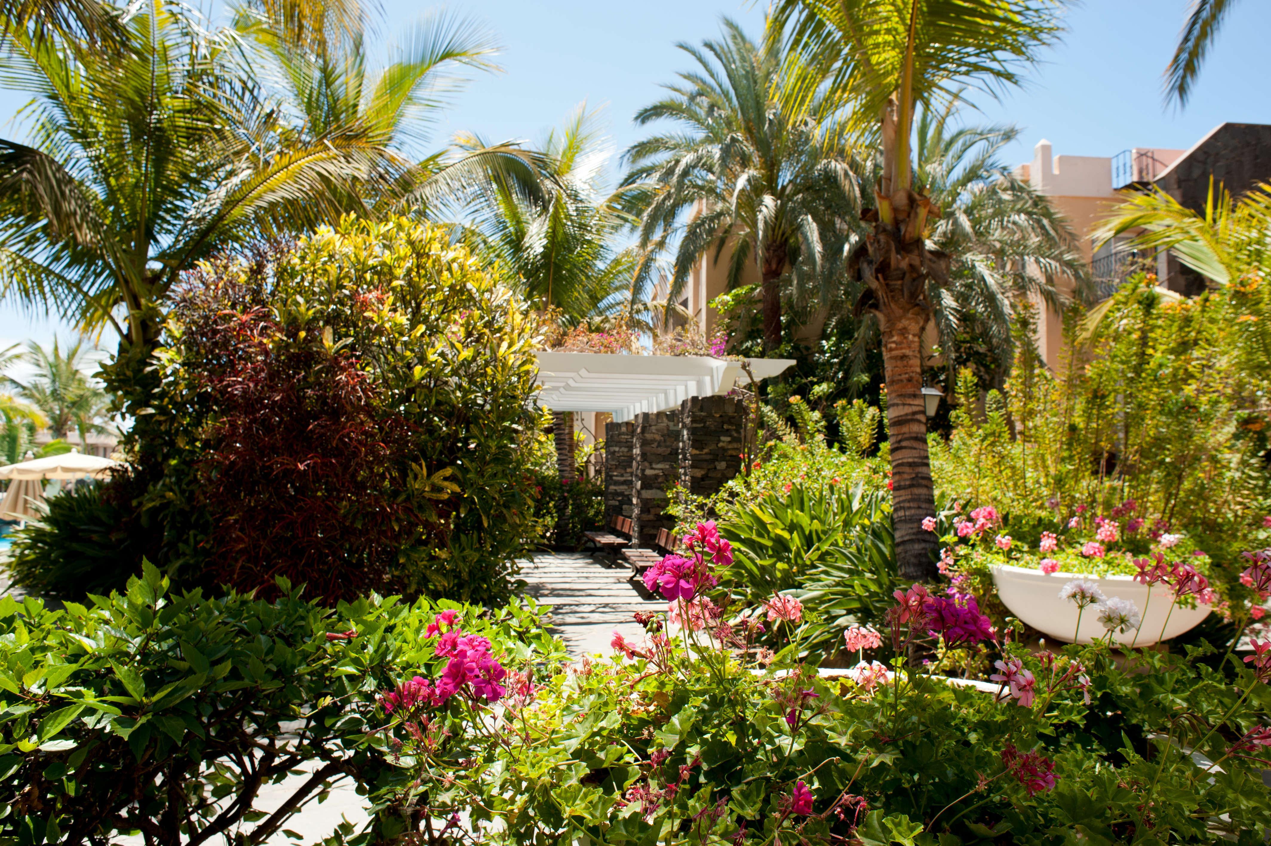 Palm Oasis Maspalomas Maspalomas  Exterior foto