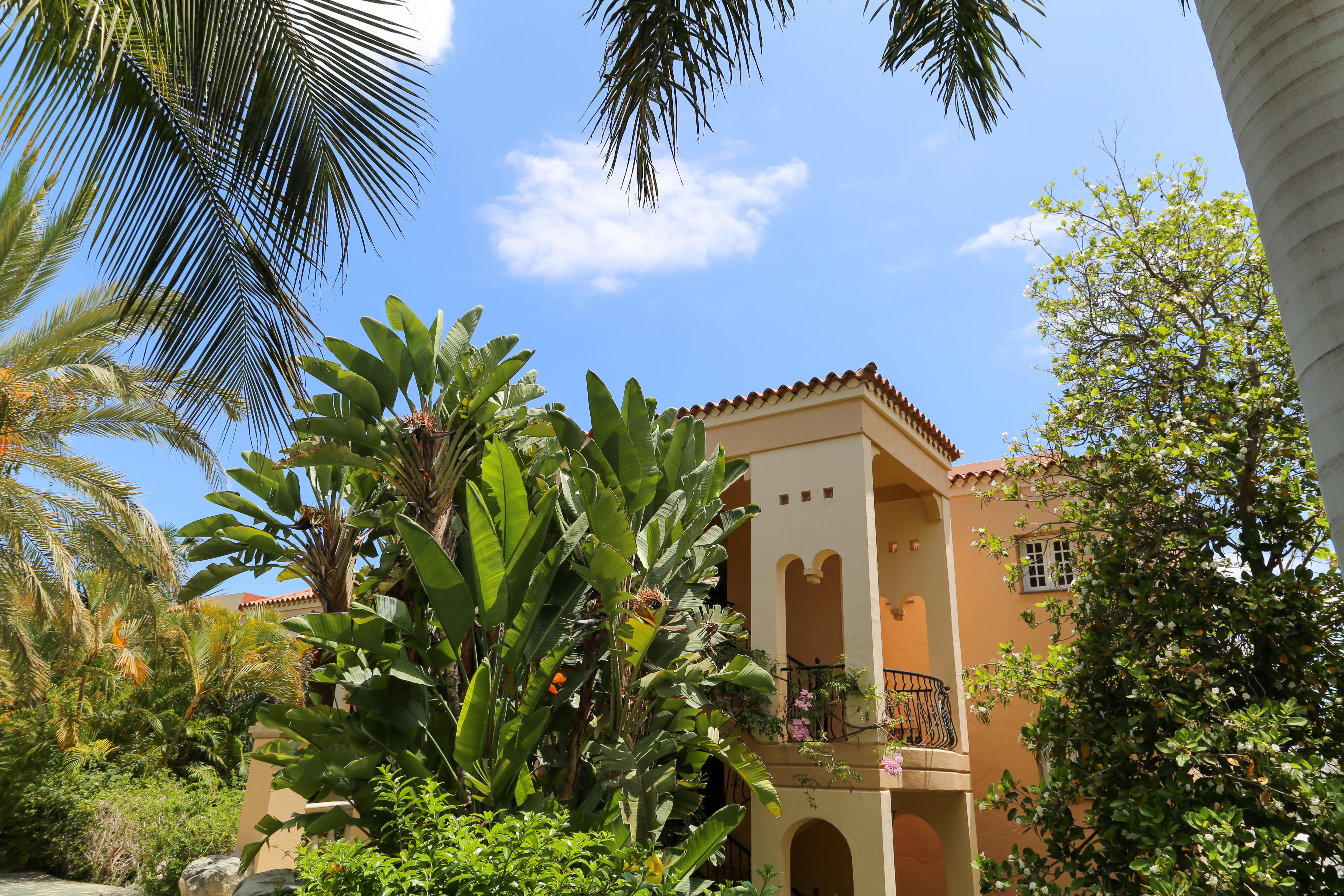 Palm Oasis Maspalomas Maspalomas  Exterior foto