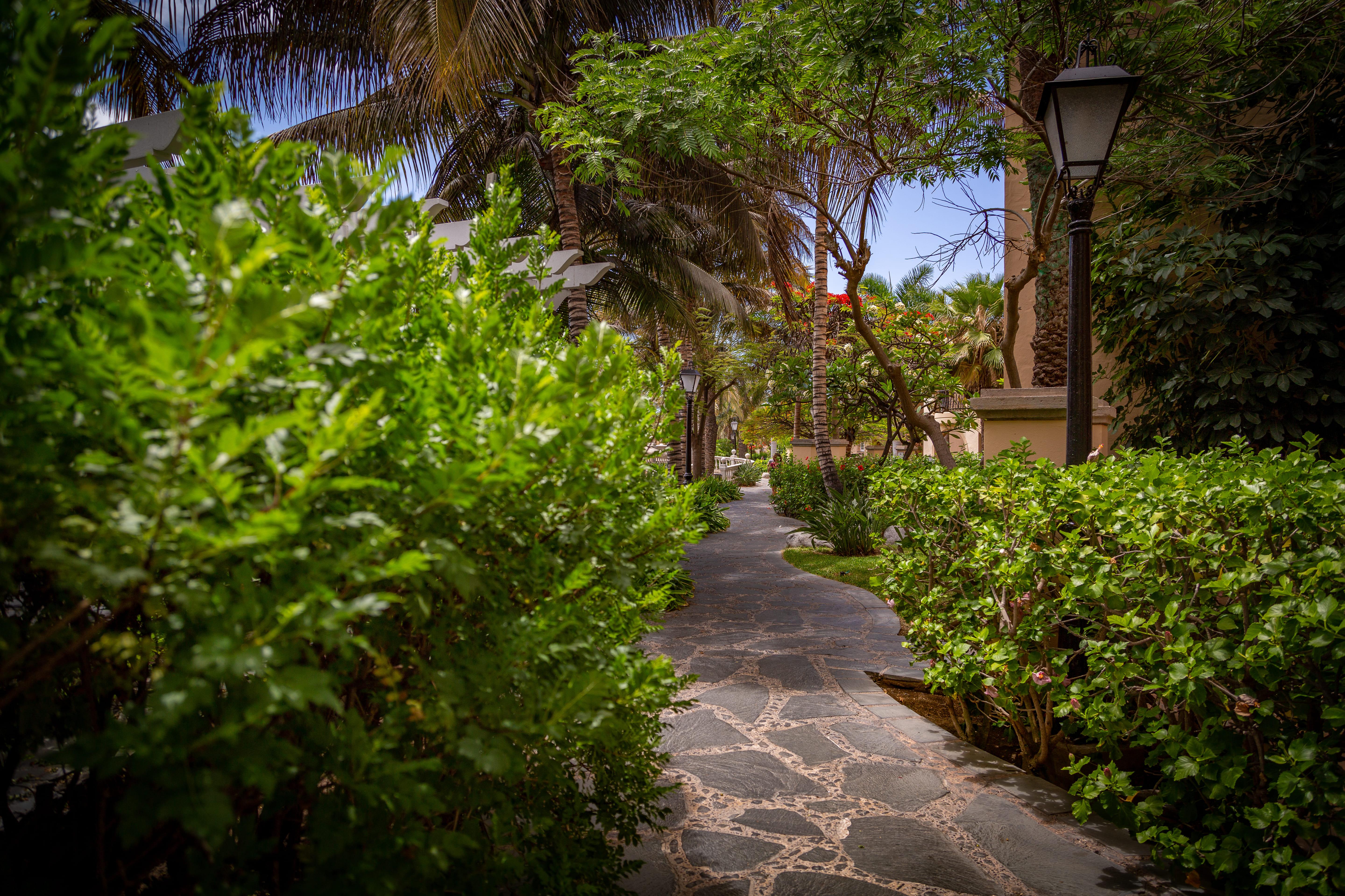 Palm Oasis Maspalomas Maspalomas  Exterior foto